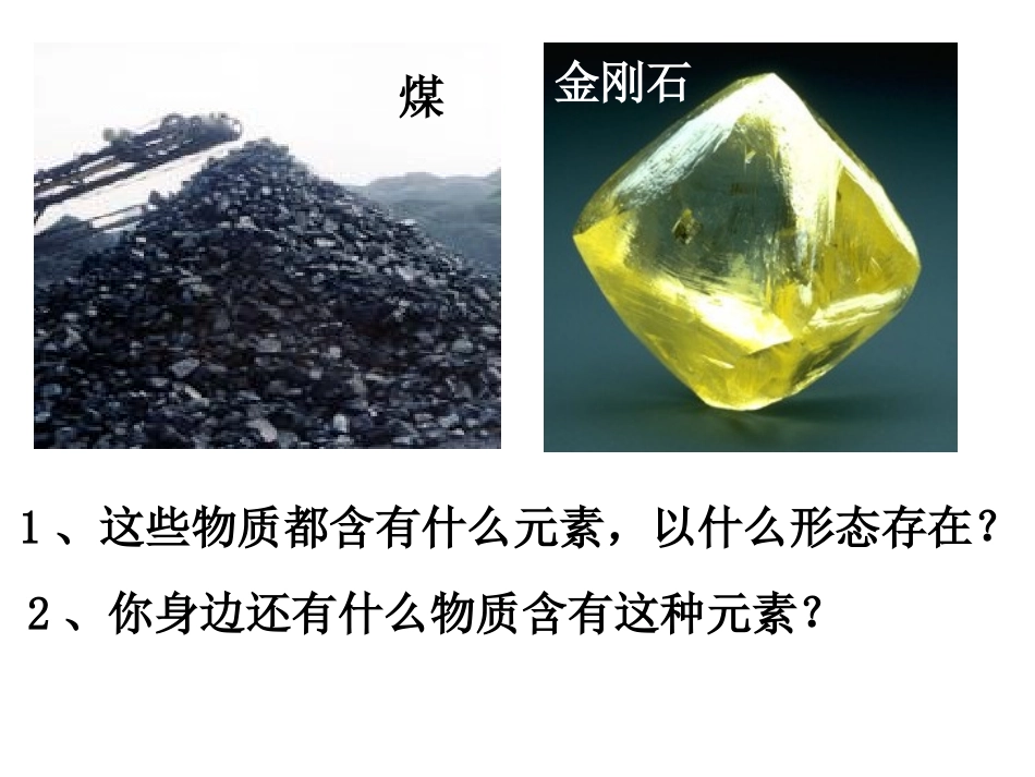 第一节碳的多样性(1)_第2页