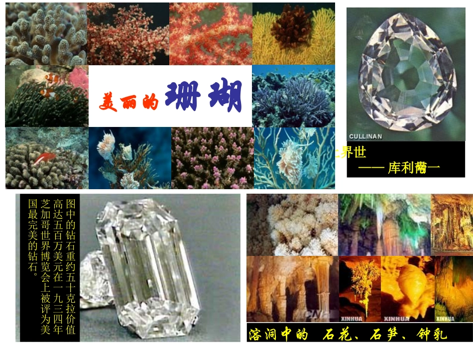 第一节碳的多样性(1)_第3页