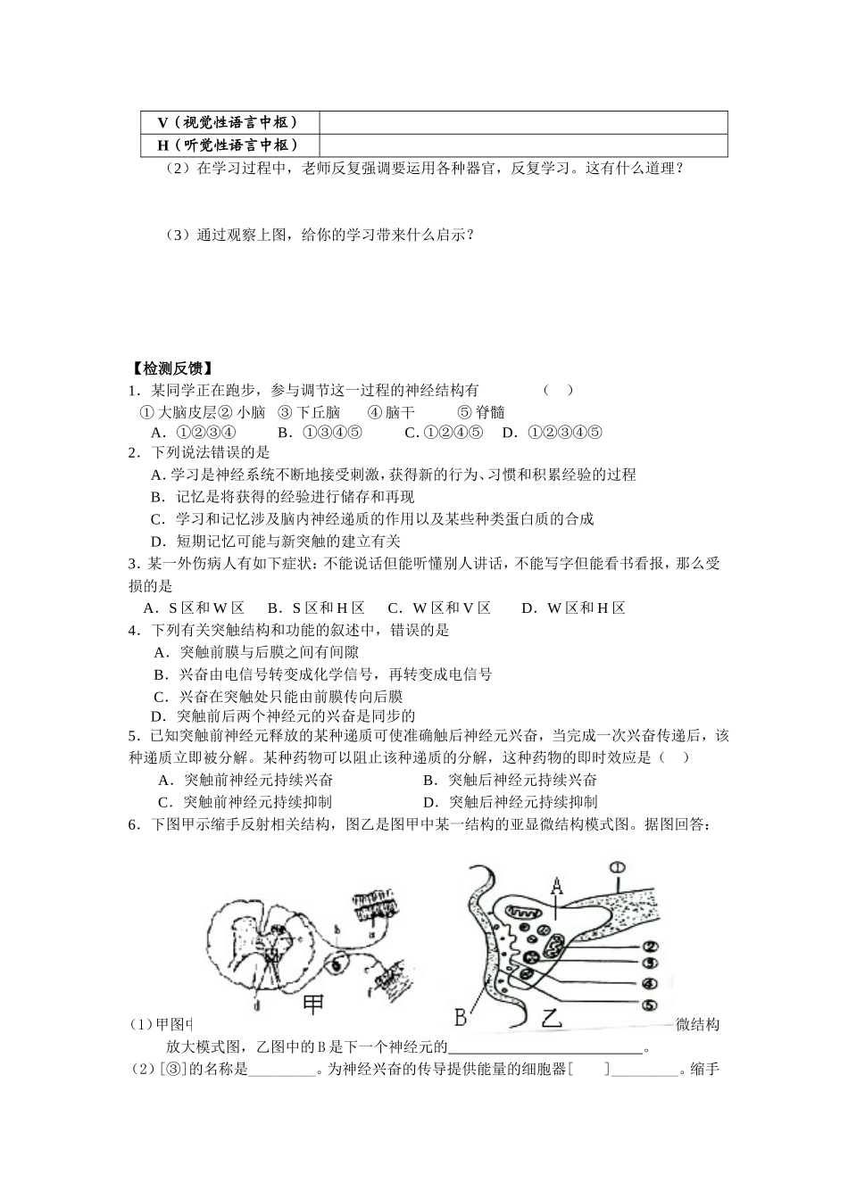 第2课时通过神经系统的调节（2）_第3页