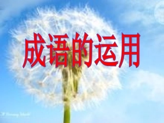 成语使用课件