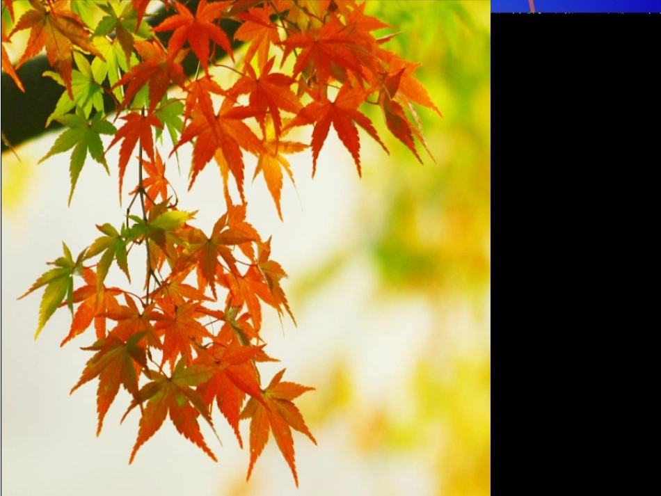 （秋姑娘的信）PPT_第2页