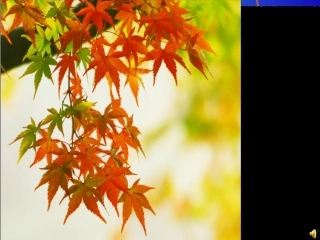 （秋姑娘的信）PPT