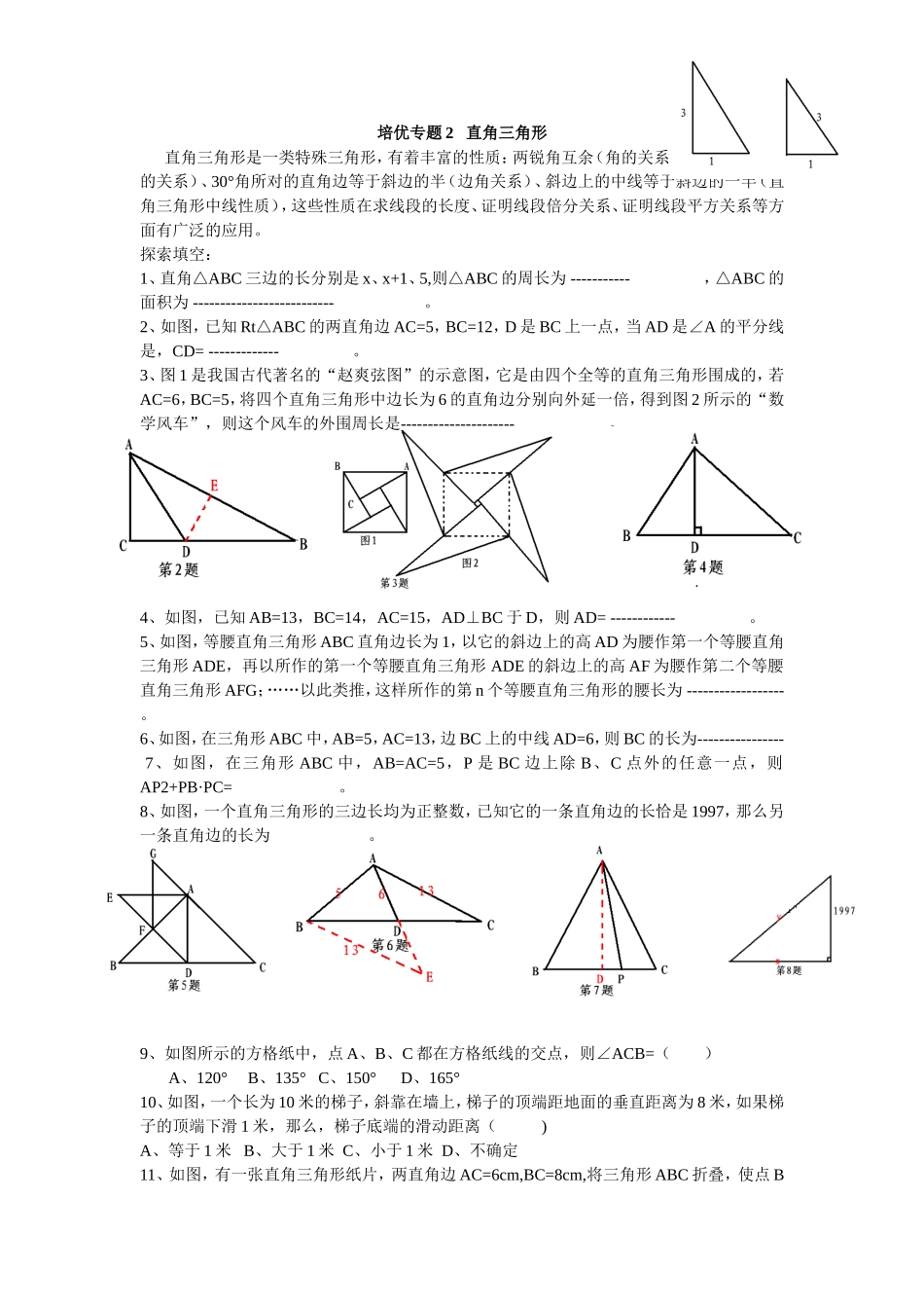 培优专题2直角三角形_第1页