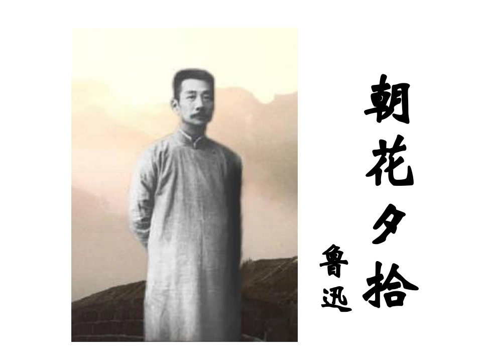 朝花夕拾 (2)_第2页