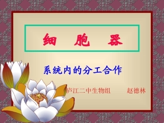 第2节nbsp细胞器——系统内的分工合作