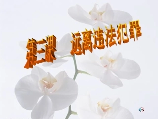 政治：第三课《远离违法犯罪》课件（陕教版九年级）