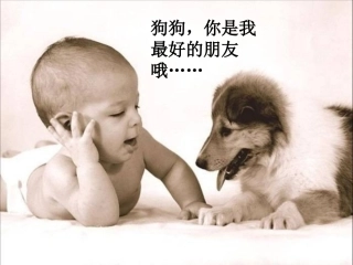 安恩和奶牛（改进版）