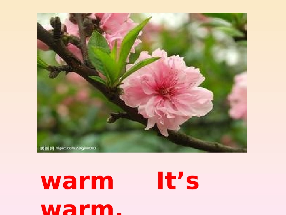 四年级下册pep版本U3ALet'slearn_第2页