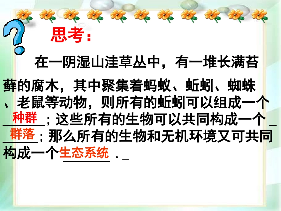 生物：51《生态系统的结构》_第1页