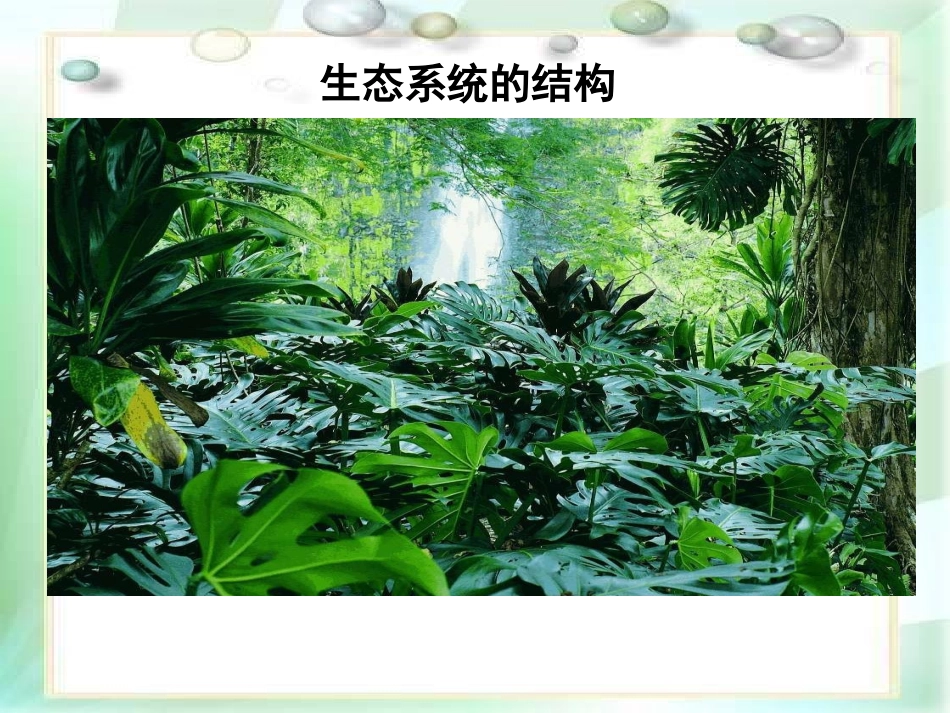 生物：51《生态系统的结构》_第2页