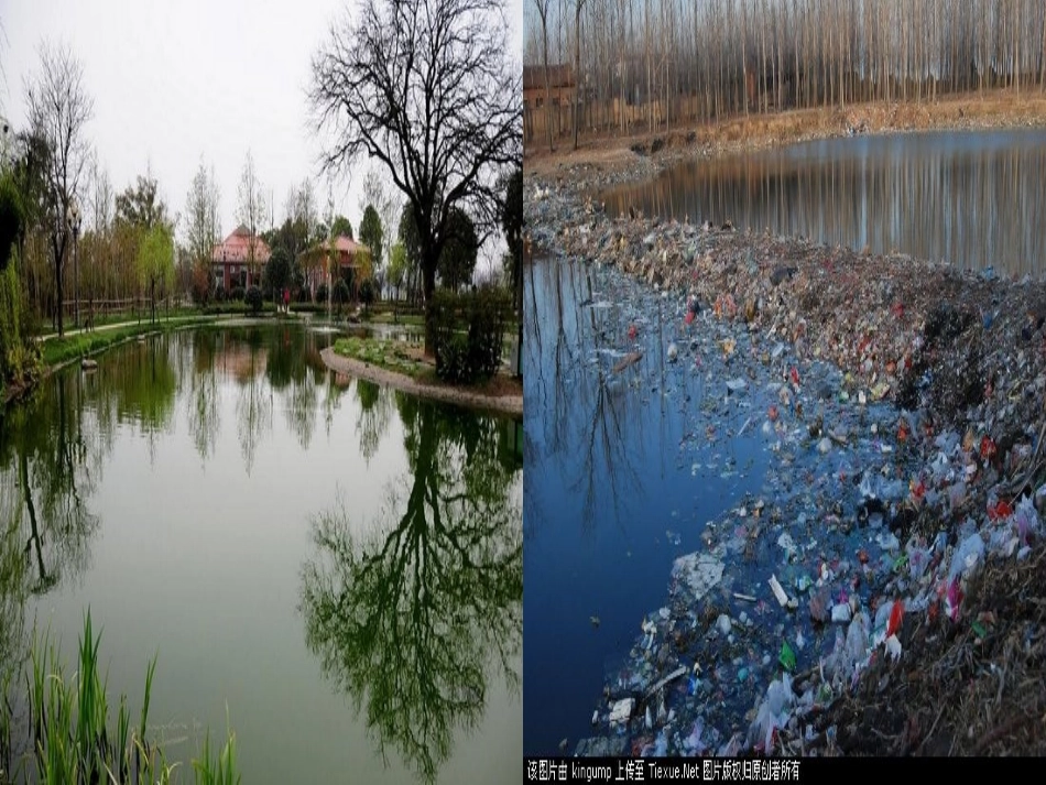 白色污染-李晓芸_第3页