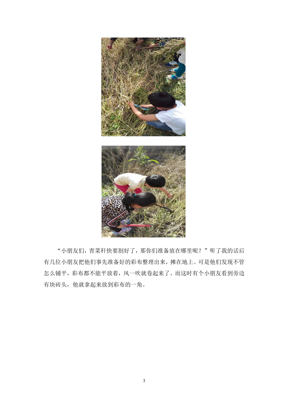 小手牵小手，共同收菜籽2_第3页