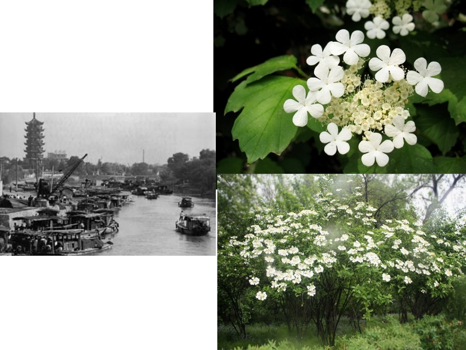 七下第1课繁盛一时的隋朝_第1页