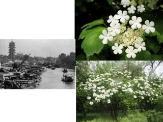 七下第1课繁盛一时的隋朝