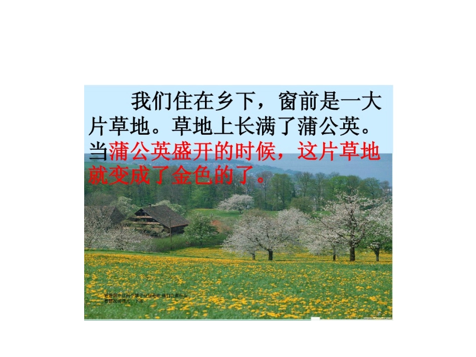 金色的草地(1)_第2页