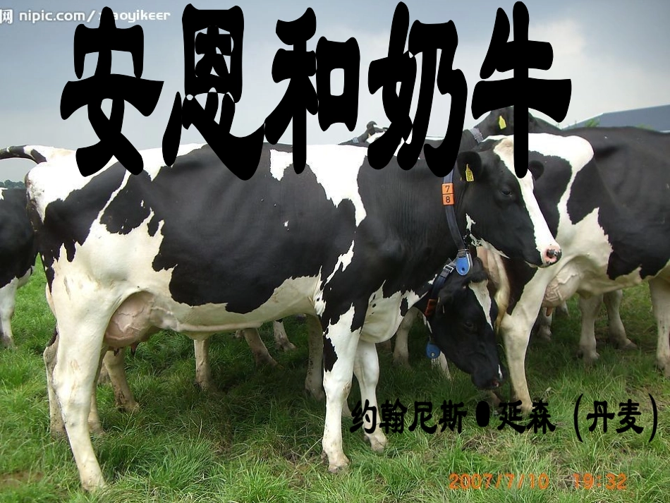 《安恩与奶牛》_第1页