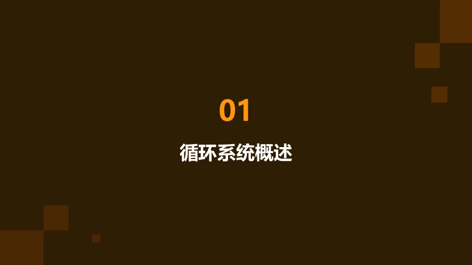 人体系统解剖学局部解剖学 循环系统心脏护理课件_第3页