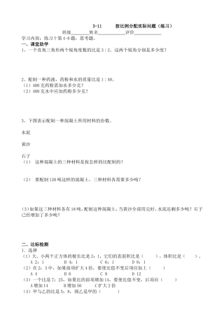 按比例分配练习课学案