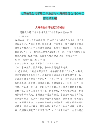 人寿保险公司年度工作总结与人寿保险分公司公司工作总结汇编