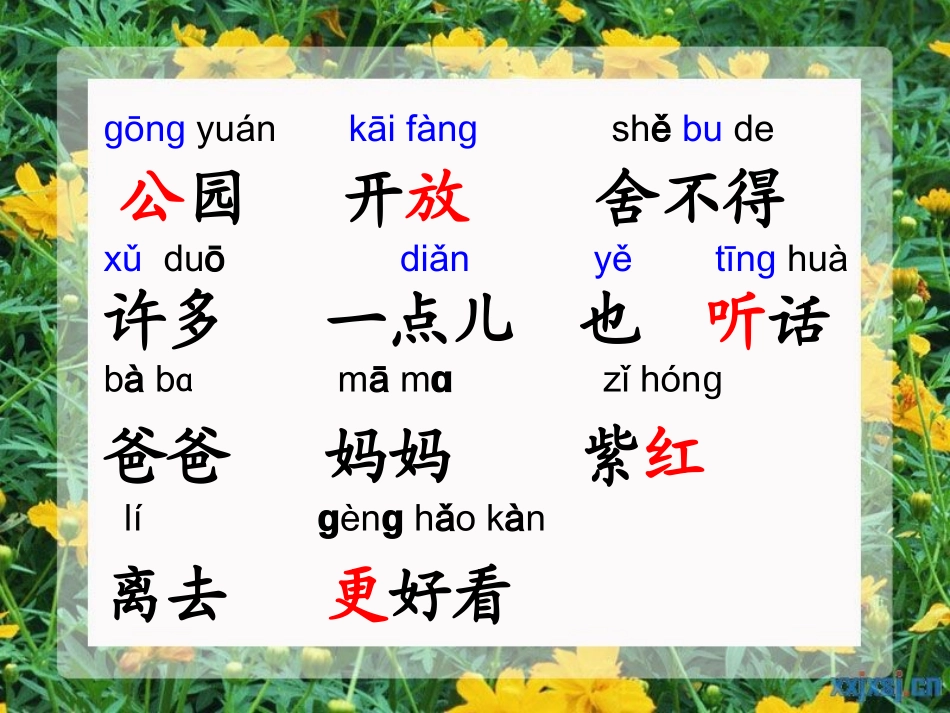 看菊花 课件_第2页