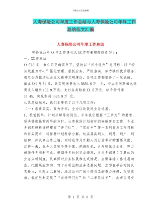 人寿保险公司年度工作总结与人寿保险公司年终工作总结范文汇编
