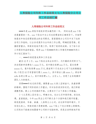 人寿保险公司年终工作总结范文与人寿保险分公司公司工作总结汇编