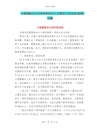 人寿保险分公司年终总结与人才建设工作总结汇编