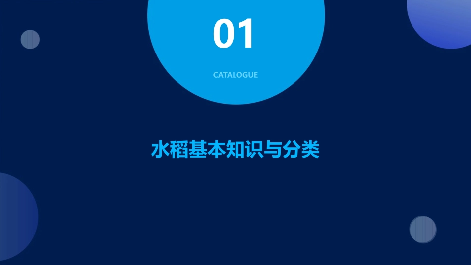 水稻生长发育及特性课件_第3页