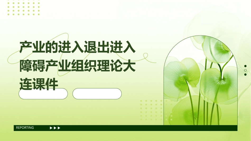 产业的进入退出进入障碍产业组织理论大连课件_第1页