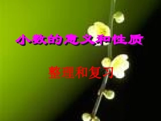 小数的意义和性质整理和复习