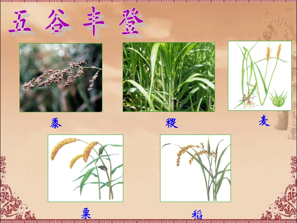 古代中国的农业经济_第3页