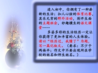 作文指导：经历过，我懂了