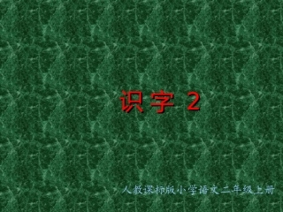 人教版小学语文二年级上册《识字2》PPT课件