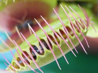 现代生物进化理论的由来课件新人教版必修