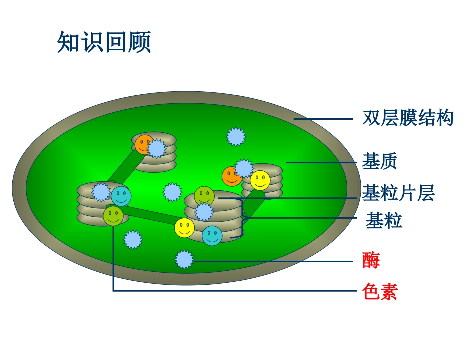 高一生物光合作用_第1页