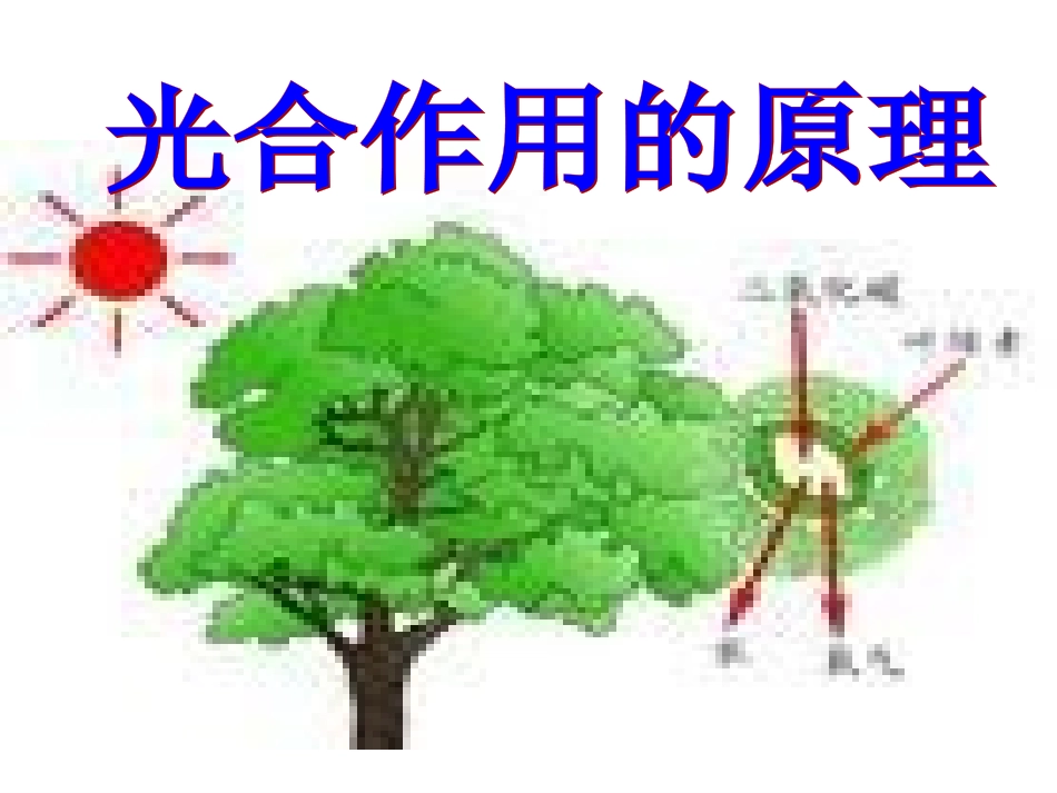 高一生物光合作用_第2页