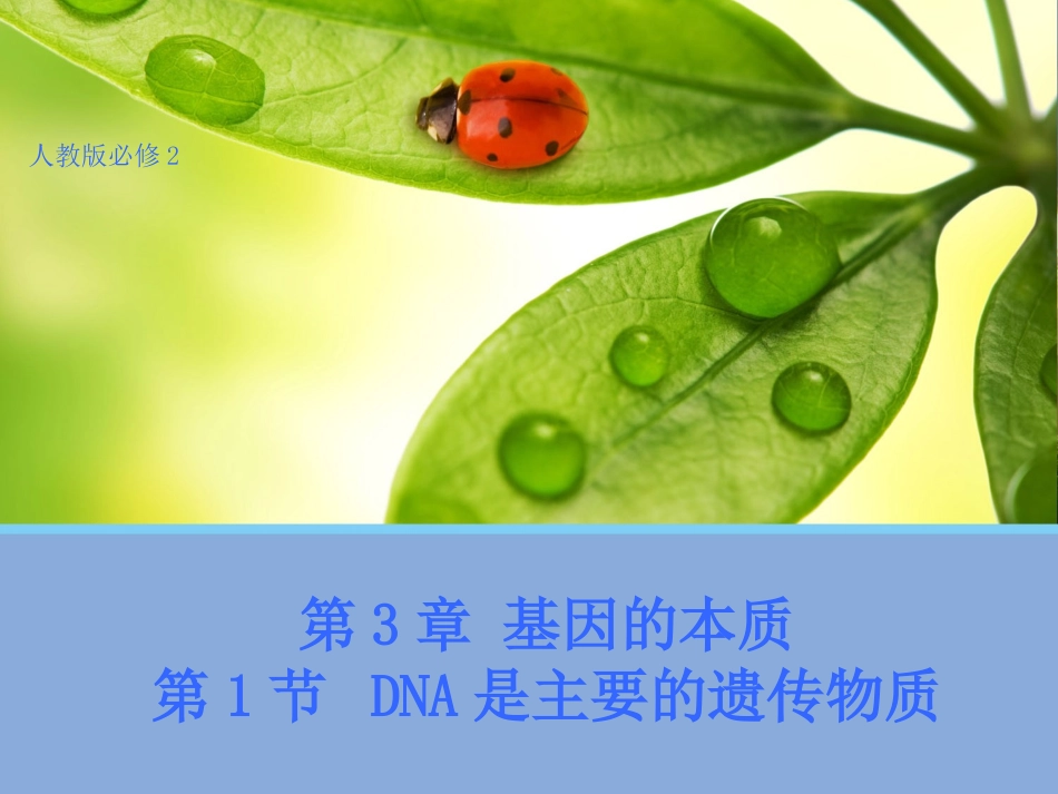 【生物】31DNA是主要的遗传物质课件1（人教版必修2）_第1页