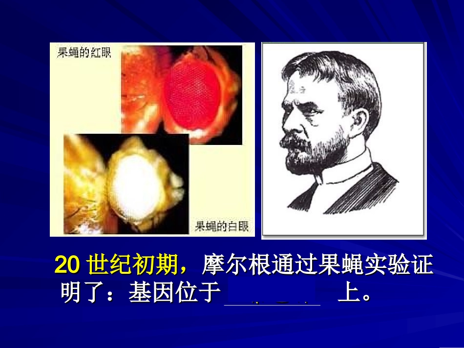 【生物】31DNA是主要的遗传物质课件1（人教版必修2）_第3页