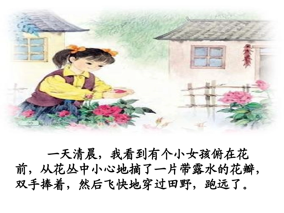 花瓣飘香 (4)_第2页
