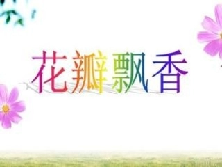 花瓣飘香 (4)