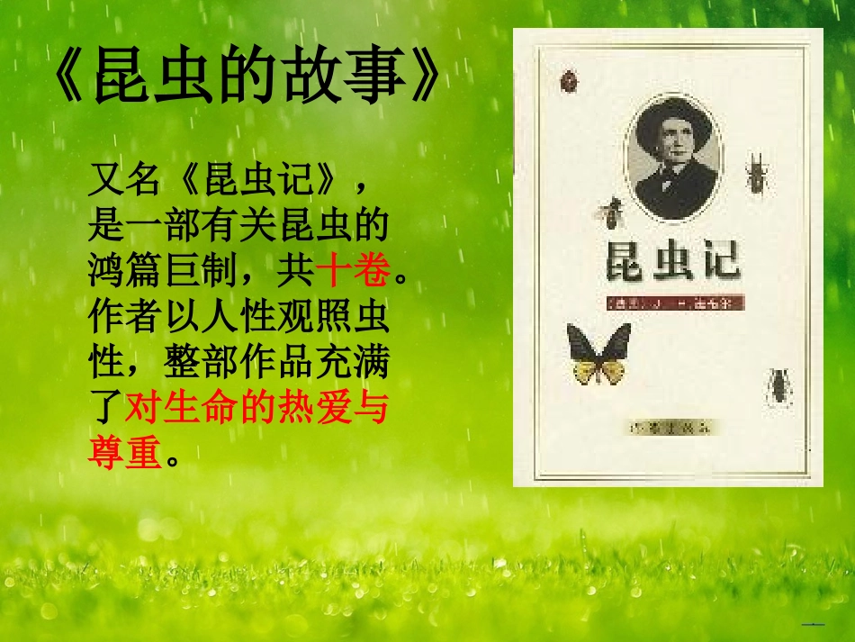 绿色蝈蝈课件_第3页