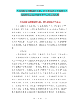人民法院专项整改回头看、回头查活动工作总结与人民法院党总支2024年半年工作总结汇编