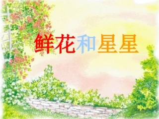 鲜花和星星_