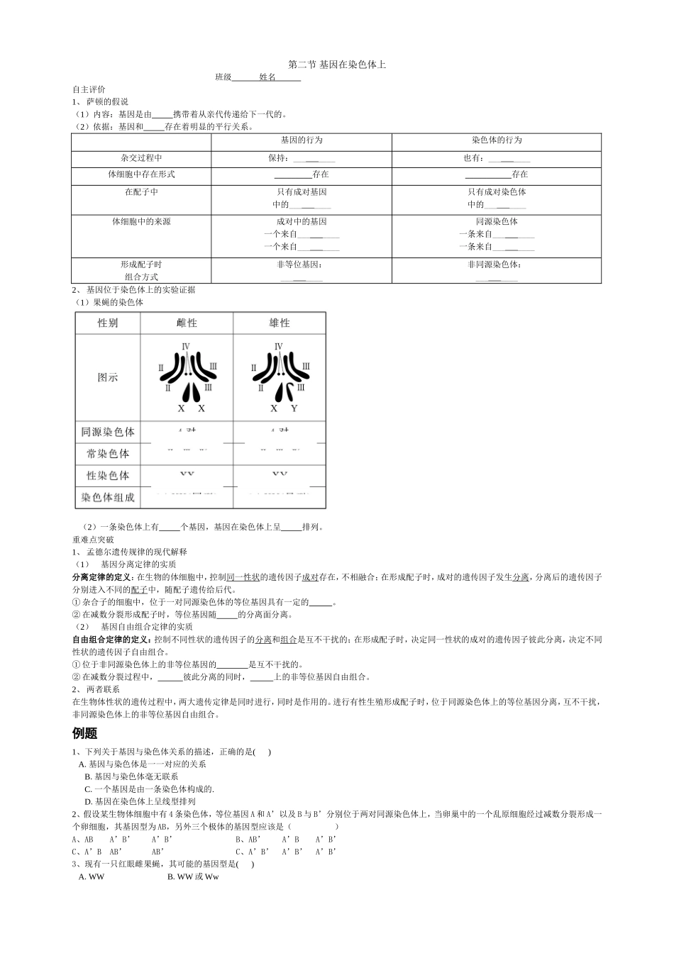 必修二第二章第二节_基因在染色体上_第1页