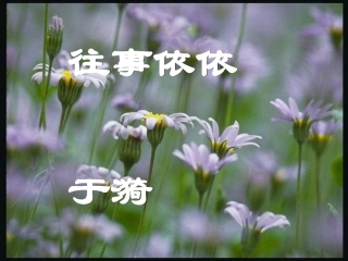 往事依依 (3)
