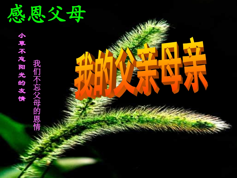 感恩的心PPT_第3页