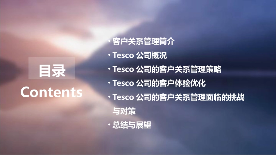 客户关系管理TESCO课件_第2页