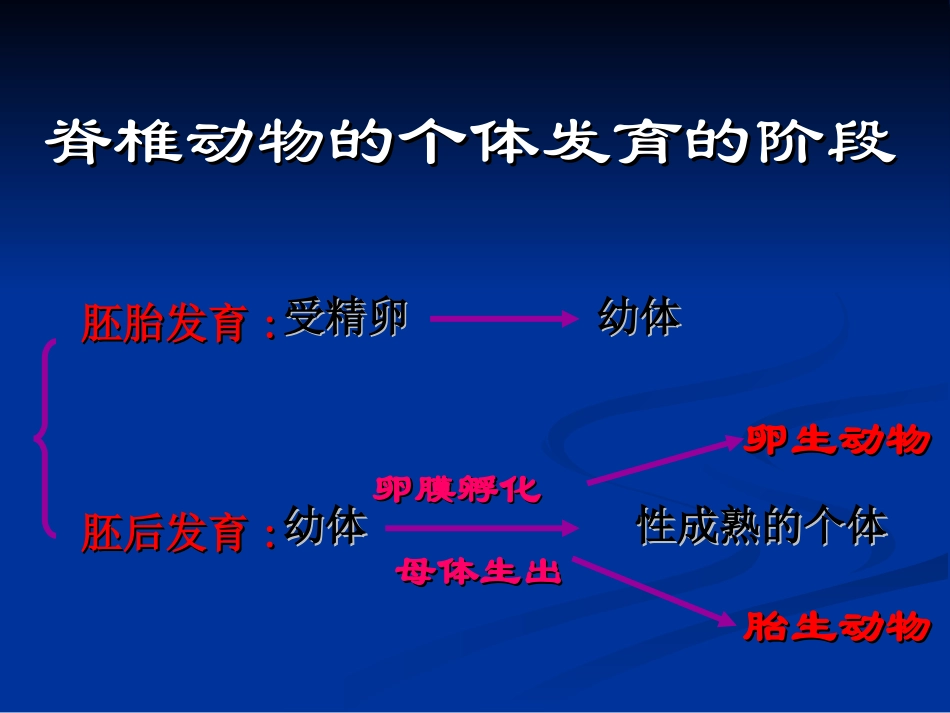 生物：第19章第2节动物的发育精品课件(苏科版八年级上）_第2页