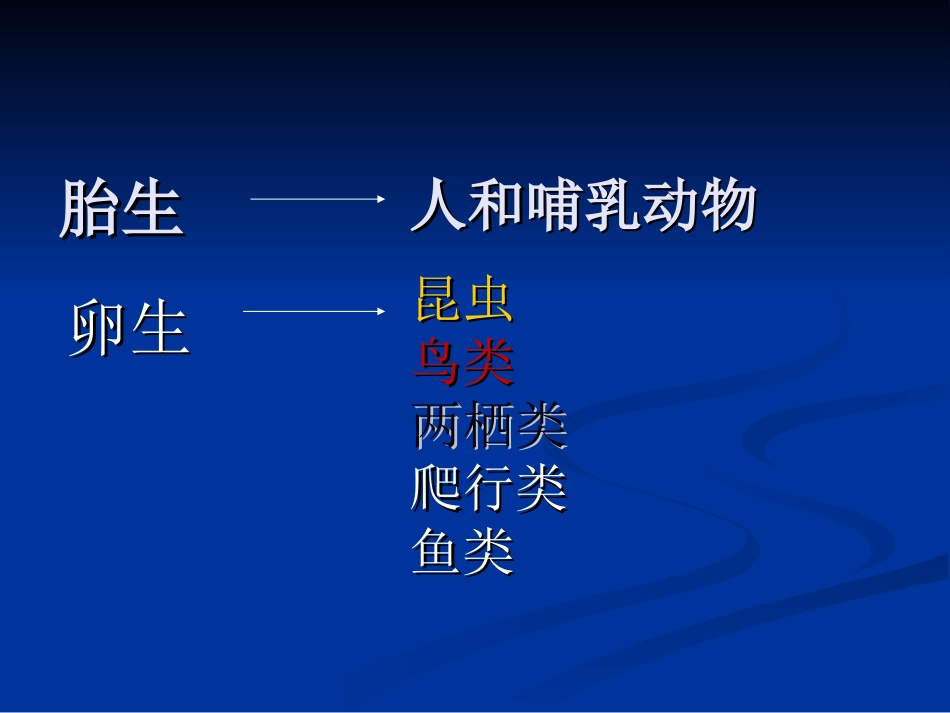 生物：第19章第2节动物的发育精品课件(苏科版八年级上）_第3页