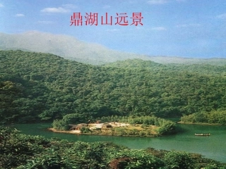 《鼎湖山听泉》 (2)